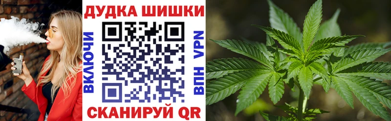 закладки  Ноябрьск  Бошки Шишки план 